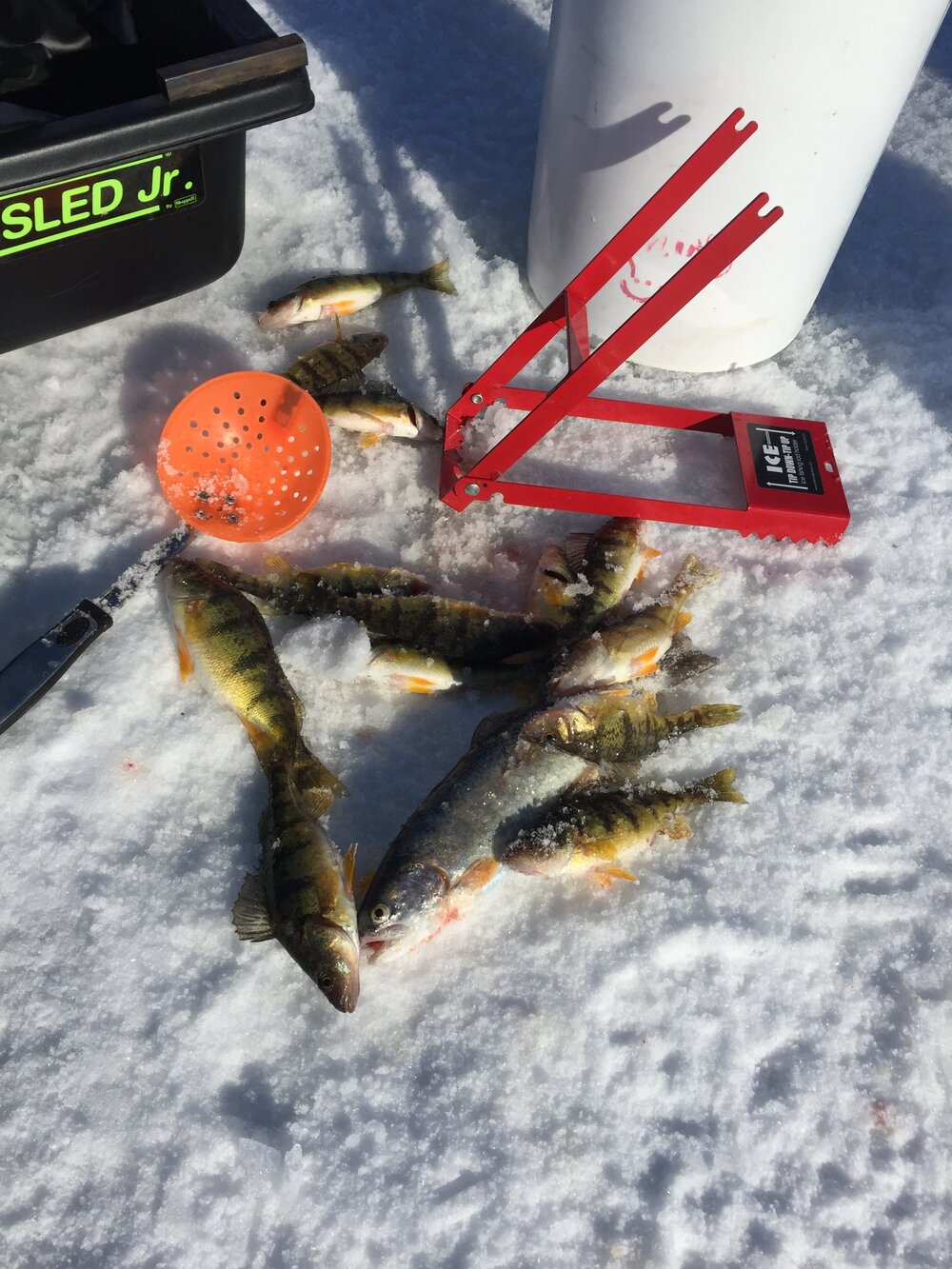 BULLNOSE ICE FISHING TIP DOWN-TIP UP CUSTOMER REVIEW – Bullnose Products
